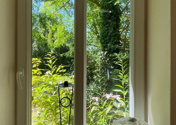 1 Akazie Holthusen 25514 *